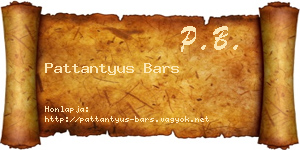 Pattantyus Bars névjegykártya